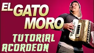 TUTORIAL: EL GATO MORO - Tutorial de Acordeon Verdulera