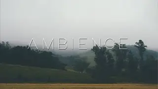 Slow Meadow &ndash; Lachrymosia