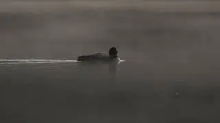 Itasca Video footage