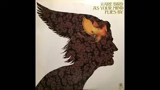 Rare Bird &middot; As Your Mind Flies By