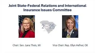 2025 Spring Meeting: Joint State-Federal Relations & International Insurance Issues Committee