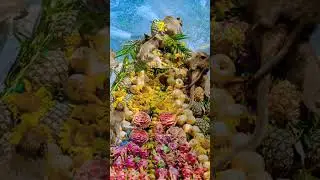 World's Most Bizarre Festivals: Top 10 Strange Celebrations Around the Globe 🎉🌍 #viral #trending