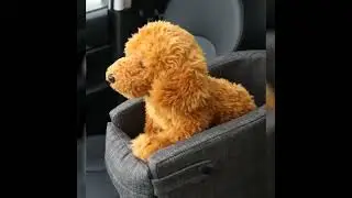 Pet safety booster seat