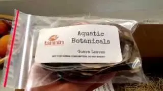 Tannin Aquatics company review!!