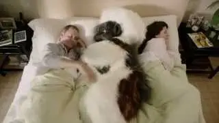 Every Cotton-Top Has A Home (Just Not Yours)