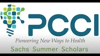PCCI 2020 Summer Internship Highlights