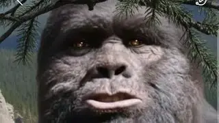 Discovering Bigfoot is live with Todd Standing January 14