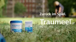 Traumeel&reg; LT ad us. vet. &ndash; Zur&uuml;ck im Spiel