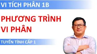 Phương trình vi phân Tuyến tính cấp 1 (Lý thuyết & Ví dụ)