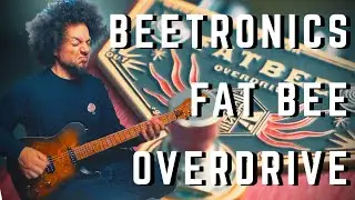 Gains As Thick As Honey | Beetronics Fat Bee Overdrive