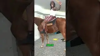 Kai Cenat Gets A New Pet Horse (Kai Cenat)