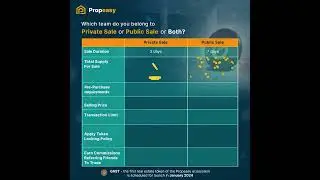 Preparing for Propeasy's Private and Public real estate token sale.
