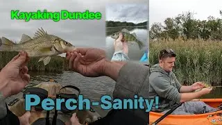 Dundee Creek Kayak Fishing | Most Perch We've EVER Caught!!
