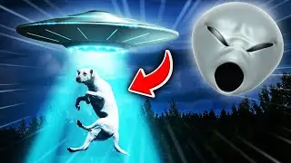 ALIENS KILLED MY DOG?! | We Are Not Alone