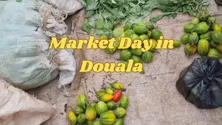 What a Market Day Looks Like in Douala 🇨🇲 | Realistic Midweek Vlog