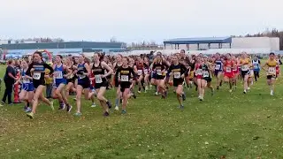 ASAA Alaska State XC DIII Girls 2024