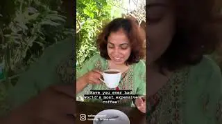Luwak coffee, Bali #shorts