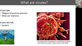 2020 Virtual New England Science Boot Camp for Librarians - Virology Session