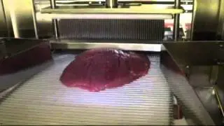 Full automatic Meat Tenderizer Tender Star