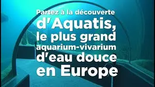 Visite d'Aquatis à Lausanne