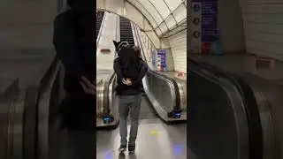 How to ride London&rsquo;s #escalator with your #dog