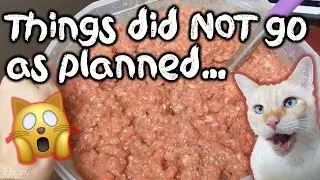 A day in the life when making raw cat food (for FOUR kitties!) *realistic scenario*