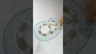 Watch This to Gently Fall Asleep &mdash; #BedtimeLoop #RelaxingDrawing #SilentASMR