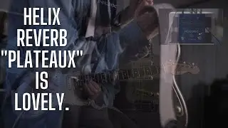 Helix Reverbs Suck? Nah. Meris Inspired Helix Reverb Preset