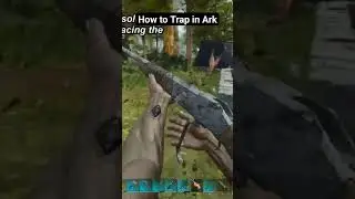 How to trap most creatures on Ark for taming. #arkgameplay #arksurvivalascended #gaming
