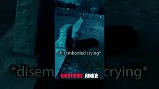 Eerie Sounds of Ghost Screaming in Cemetery Will Give You Chills Scary Comp