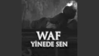 Yinede Sen