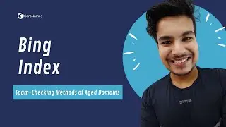 Bing Index | Spam-Checking Methods Of Aged Domains