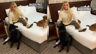 'THIS IS HOW WE LIVE' Katie Price and Carl Woods reveal they are &lsquo;living out of suitcases&rsquo; as their