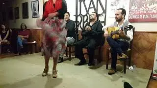 Feria Málaga 2019. Peña flamenca Juan Breva