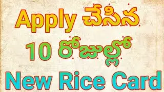 Within 10 days issue new rice card | Ap govt | CM | GSWS