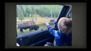 The Story Thread Zoom call with Wildlife & Landscape Photographer Seth Royal Kroft