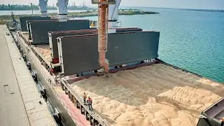 Export of food wheat from Russia. Loading of the vessel with grain.