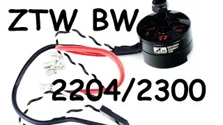 Тест ZTW BW2204/2300 18А