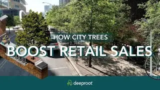 Urban Forests Enhance Local Economy
