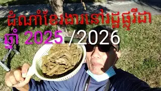 KSH Dec.8, 2025