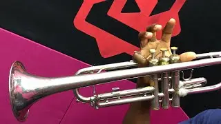 How to play D-Major scale on trumpet now(Cb concert)