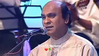 පැන මඩ කඩිති වැව් තාවුලු වැහි කාලේ | Pena Mada Kadithi Weuw Thawulu wehi Kale | Sunil Edirisinghe 