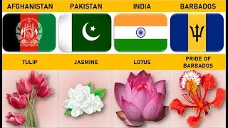 National Flowers From Different Countries