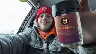 Best Flower JK got!? Yaga Farms Pink Cookies Snowy hotbox review sesh!