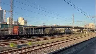 335 con madedero saliendo de Vigo #train #trenes #españa 