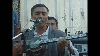 Тамшуш хофизи