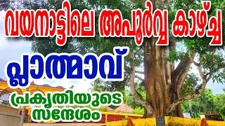 വയനാട് ശ്രീനാരായണ ക്ഷേത്രത്തിലെ ത്രിമൂർത്തികൾ #wayanad #sndp