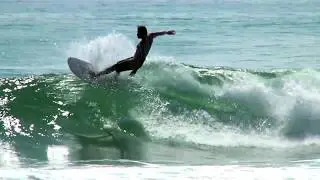 Dane Reynolds | sperm whale