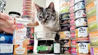 Top 3 Best Box Wet Cat Food (2023) Unboxing & Taste Test