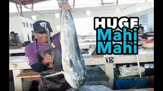 Huge Mahi Mahi Fish Cutting Skill | Giant Mahi Mahi Cutting and Fillet | Dorado Fish Cutting